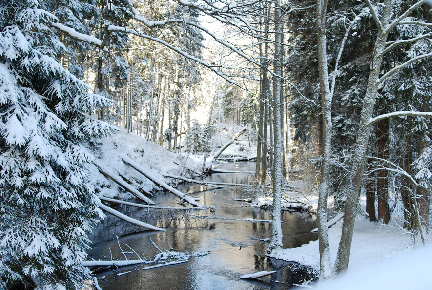 Rezerwat Przytoń-Wąwóz Brdy zimą