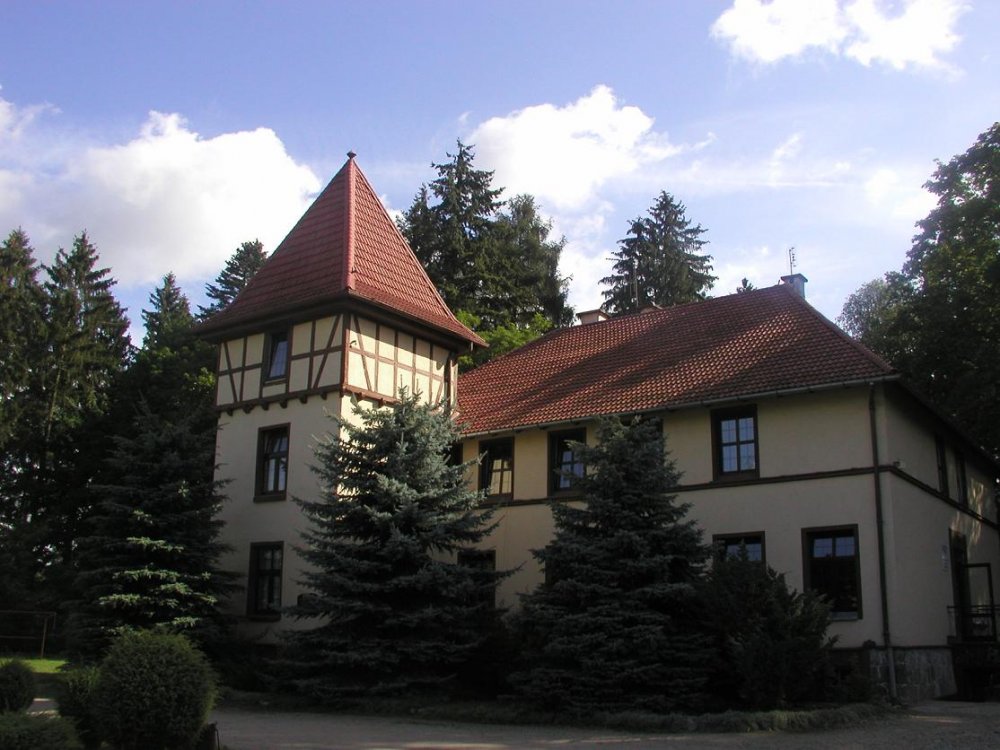 XIX-wieczny pałacyk, Wandzin